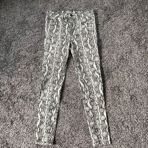 High Rise Snake Print Pants